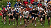 Runner profiles